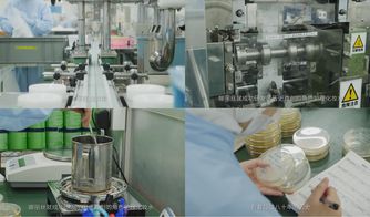 櫻花約定，匠心傳承 日本娜麗絲衛生用品的前世今生
